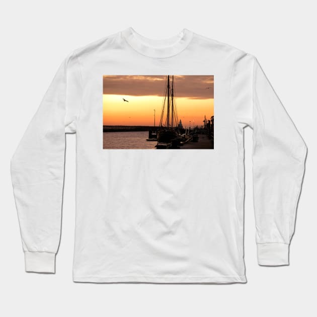 Several soaring seagulls at sunrise Long Sleeve T-Shirt by Violaman